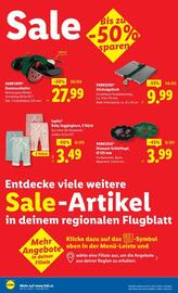 Lidl Flugblatt woche 31 Seite 17