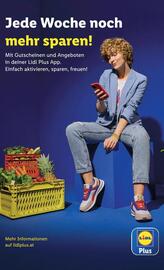 Lidl Flugblatt woche 31 Seite 18