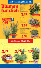 Lidl Flugblatt woche 31 Seite 23