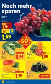 Lidl Flugblatt woche 31 Seite 35