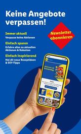 Lidl Flugblatt woche 31 Seite 43