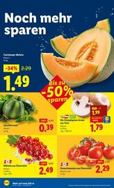 Lidl Flugblatt woche 31 Seite 5