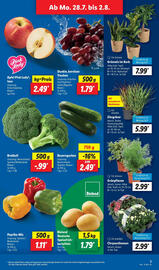 Lidl Prospekt woche 31 Seite 3