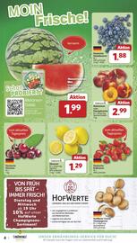 Famila Nord West Prospekt woche 31 Seite 4