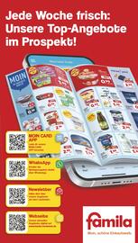 Famila Nord West Prospekt woche 31 Seite 46