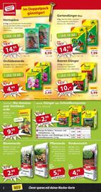 Sonderpreis Baumarkt Prospekt woche 31 Seite 2