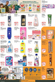 Globus Prospekt woche 31 Seite 19