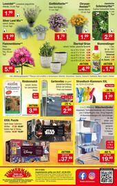 Zimmermann Prospekt woche 31 Seite 10