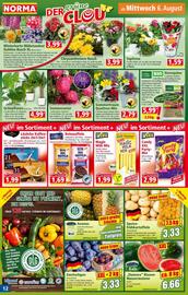Norma Prospekt woche 32 Seite 12