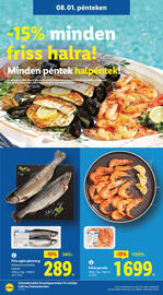 Lidl akciós újság hét 31 Oldal 22