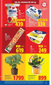 Lidl akciós újság hét 31 Oldal 41