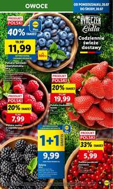 Lidl gazetka Strona 15