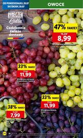 Lidl gazetka Strona 28