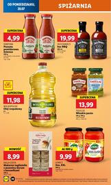 Lidl gazetka Strona 48