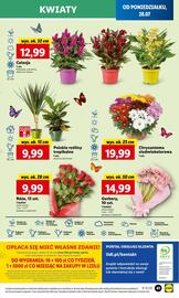 Lidl gazetka Strona 49