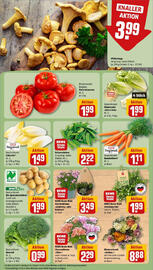 REWE Prospekt woche 31 Seite 11