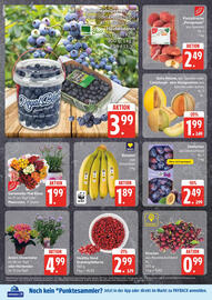 Edeka Prospekt Seite 8