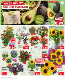 Kaufland Prospekt woche 31 Seite 11