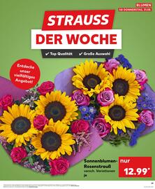 Kaufland Prospekt woche 31 Seite 29