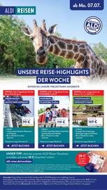 Aldi Nord Prospekt woche 32 Seite 42