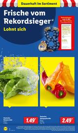 Lidl Prospekt woche 32 Seite 2