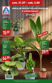 ALDI gazetka tydzień 31 Strona 30