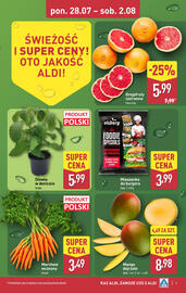 ALDI gazetka tydzień 31 Strona 5