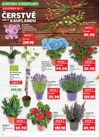 Kaufland leták týden 31 Strana 10