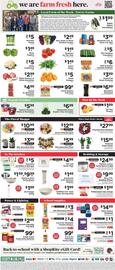 ShopRite Weekly Ad week 30 Page 9