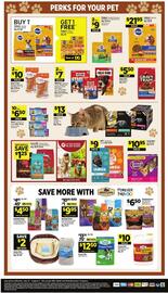 Dollar General Weekly Ad week 31 Page 13