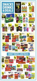 Dollar General Weekly Ad week 31 Page 3