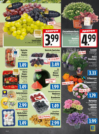 EDEKA Hahner Prospekt Seite 7