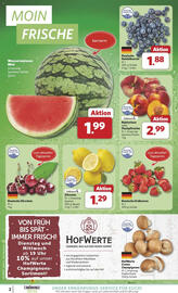 Combi Prospekt woche 31 Seite 2