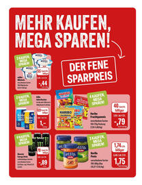 Feneberg Prospekt Seite 10