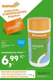 Globus Baumarkt Prospekt woche 31 Seite 10