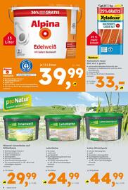 Globus Baumarkt Prospekt woche 31 Seite 8