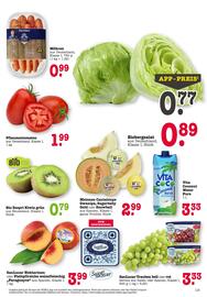 Scheck-in-Center Prospekt woche 31 Seite 11