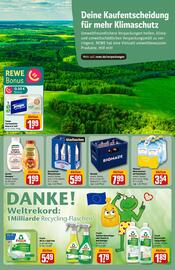 REWE Center Prospekt woche 31 Seite 24