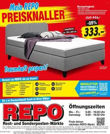 Repo Markt Prospekt woche 31 Seite 16