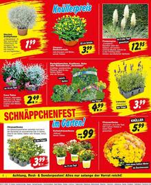 Repo Markt Prospekt woche 31 Seite 2