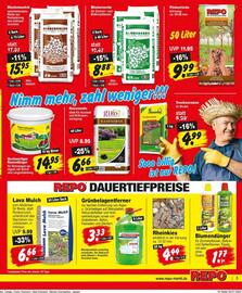 Repo Markt Prospekt woche 31 Seite 3
