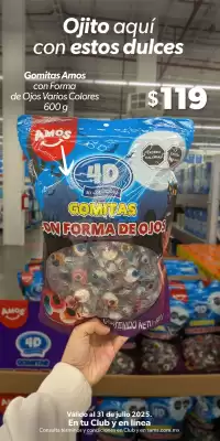 Catálogo Sam's Club (válido hasta 31-07)