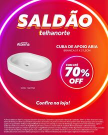 Catálogo Telhanorte semana 31 Página 3