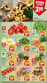 REWE Prospekt woche 31 Seite 11