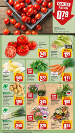 REWE Prospekt woche 31 Seite 11