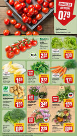 REWE Prospekt woche 31 Seite 5