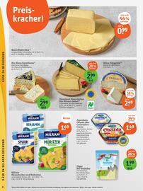 basic Prospekt Seite 10