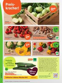 basic Prospekt Seite 4