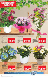 Catalog Kaufland săptămâna 31 Pagină 23
