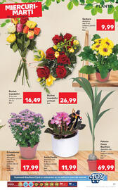 Catalog Kaufland săptămâna 31 Pagină 24